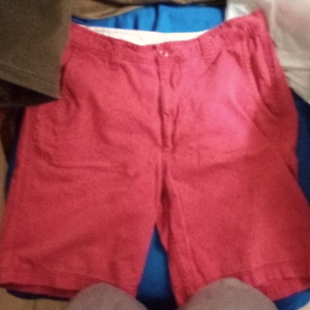 Shorts new